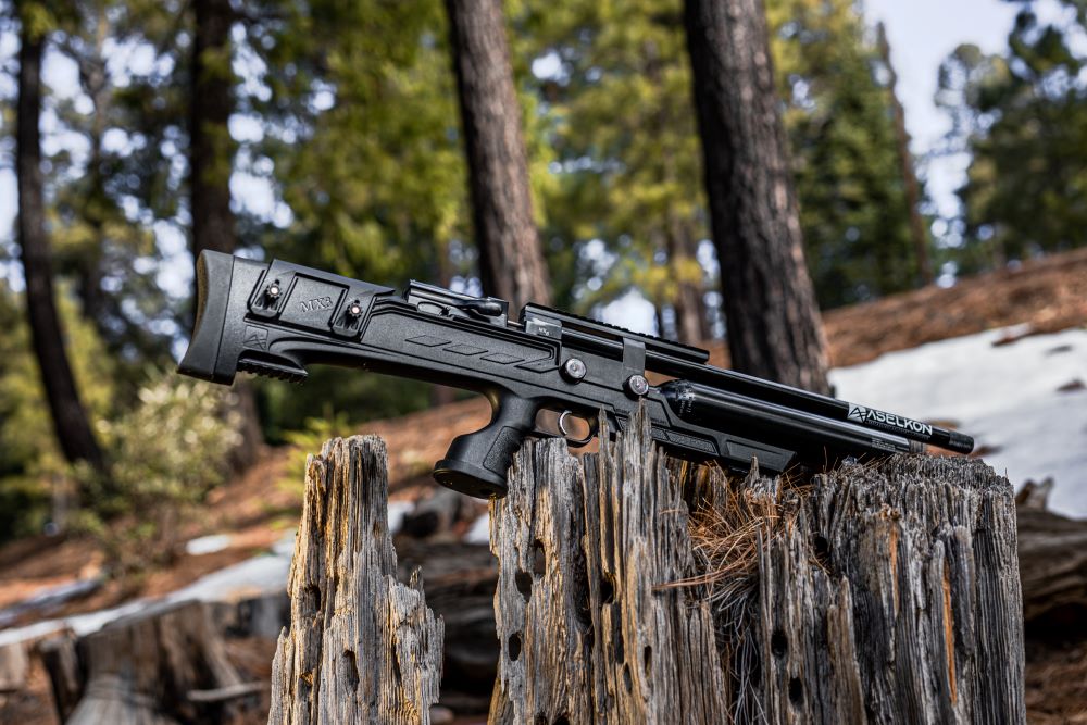 Aselkon rifle on top of tree stump