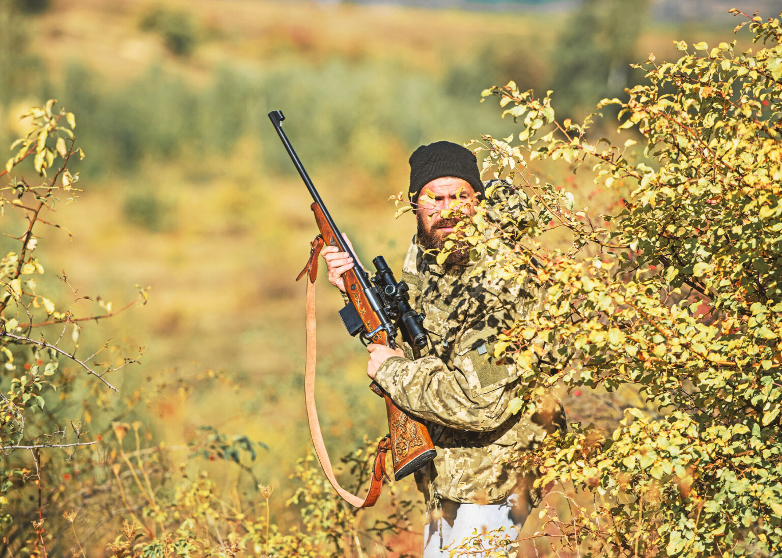 Air Rifles are the Future of Pest Control | AirFire Tactical
