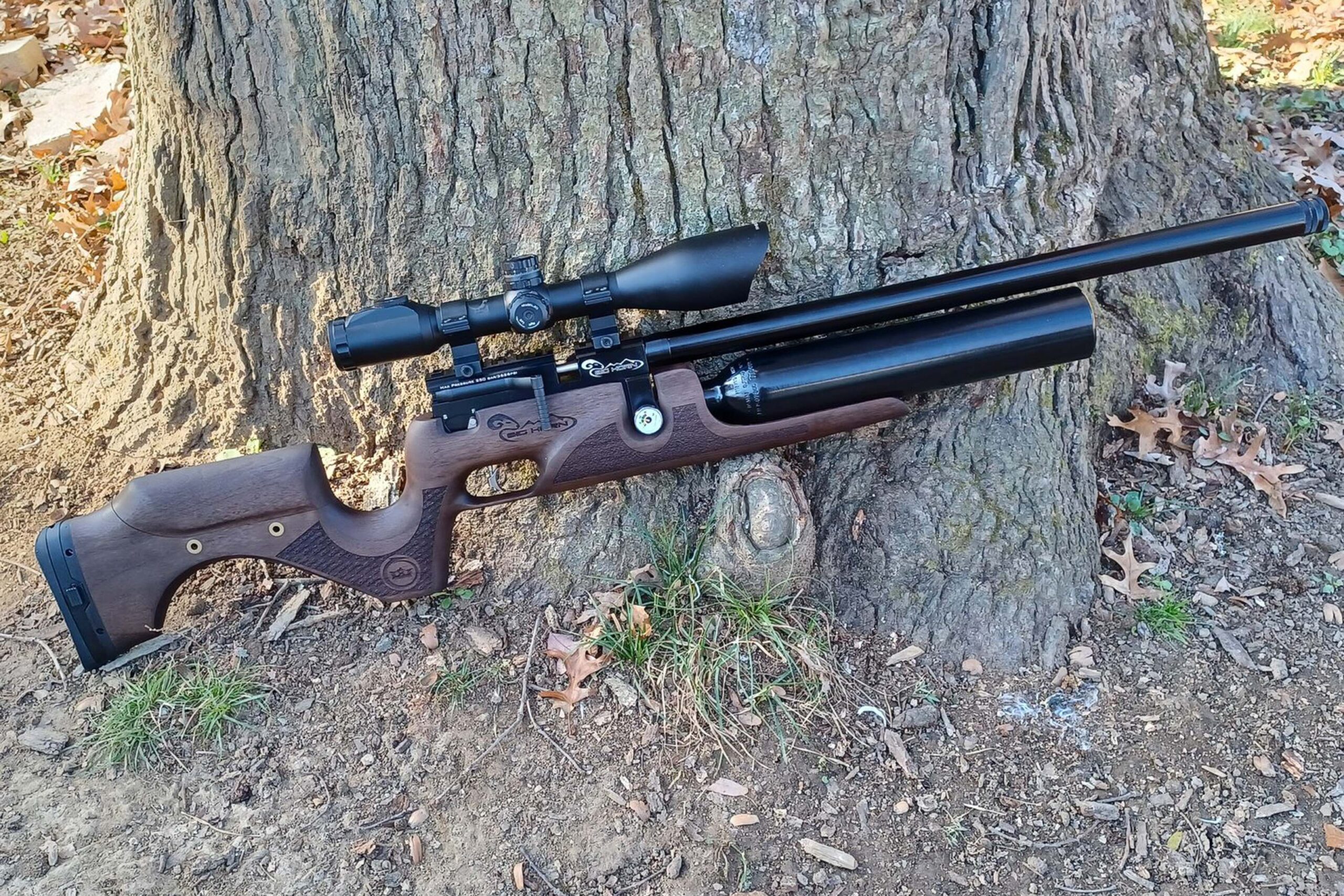 A sleek air rifle leaning against a tree trunk in the outdoors