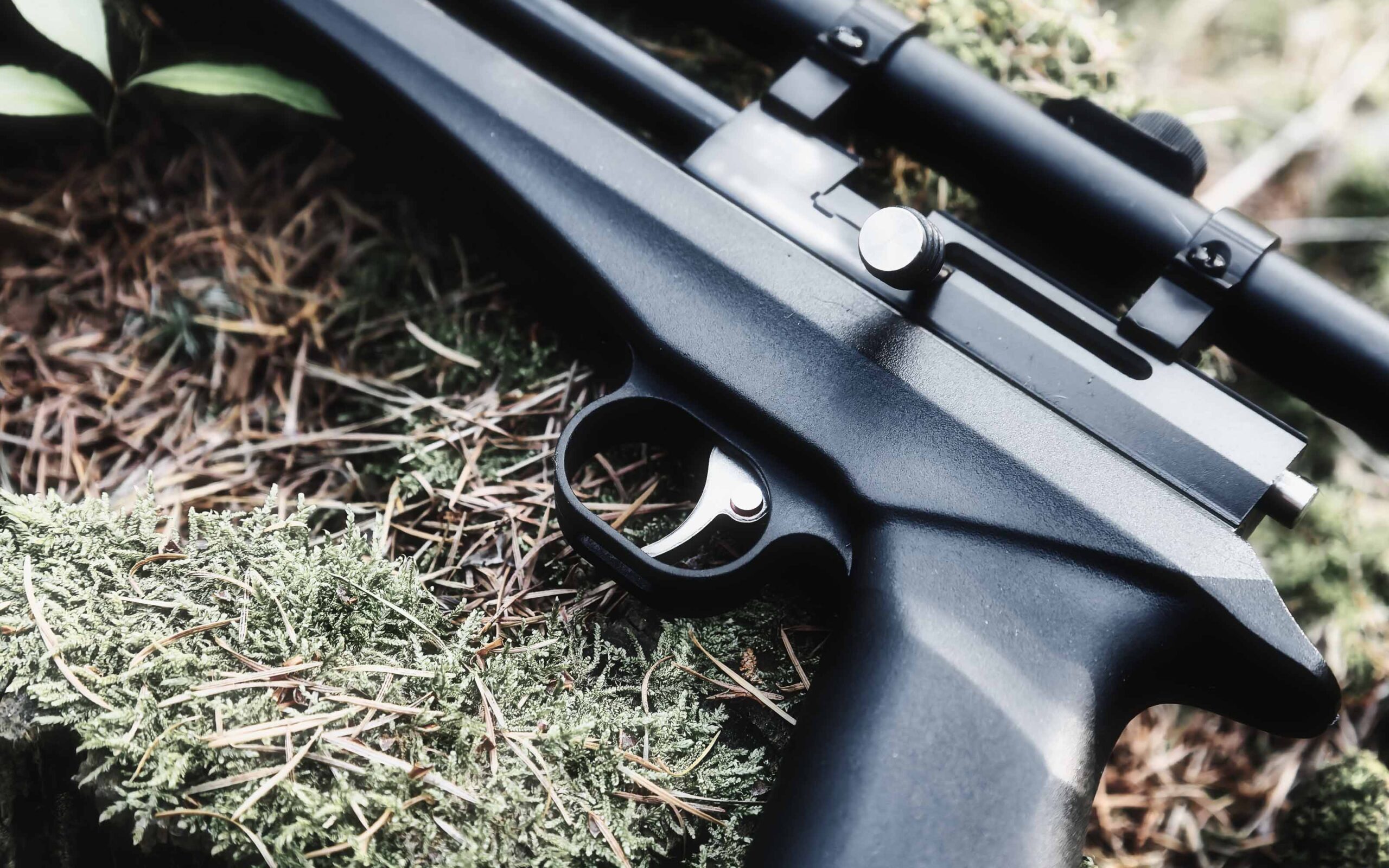 Close-up of a black rifle with scope resting on green moss and dry pine needles
